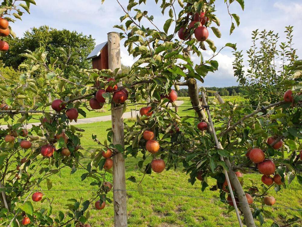 De Weitens Valkenswaard Exteriör bild