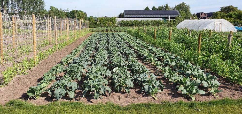 De Weitens Valkenswaard Exteriör bild